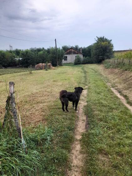 Casă cu 2 camere în Valea