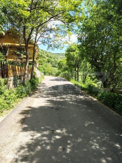 Casă cu 3 camere cu Teren 3000 Mp în Gilău