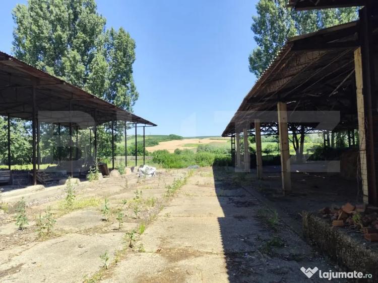 Teren în Răducăneni