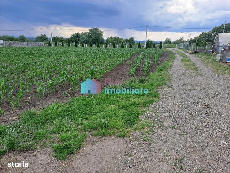 Casă cu 4 camere cu Teren 10000 Mp în Fântâna Mare