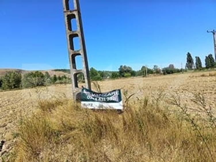 Teren agricol extravilan de 3400 mp, în Cornești