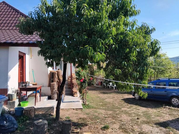 Casă cu 3 camere în Central