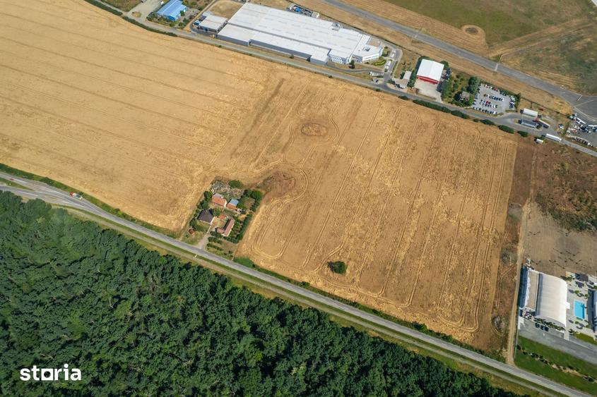Oportunitate Teren Intravilan, 57.100 mp, Cal.Bodrogului - Aeroport - 3