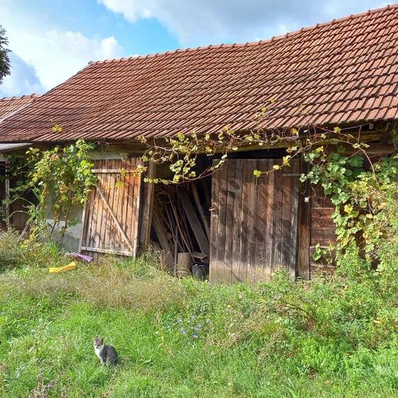 Casă cu Teren 1576 Mp în Central