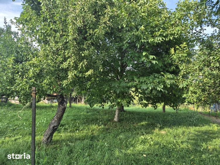 Teren de 3456 mp, în Moieciu