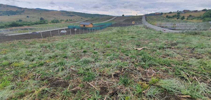 Teren de 1400 mp, în Est