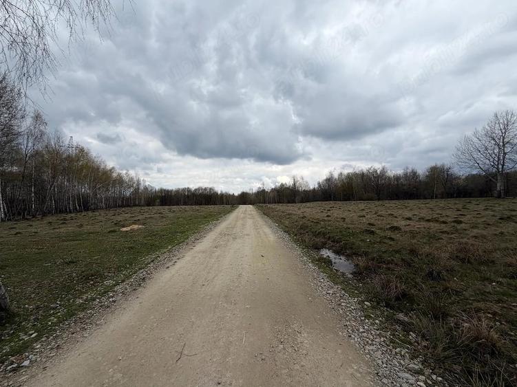 Teren de 15000 mp, în Izvoru