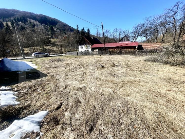 Casă individuală cu 3 camere cu Teren 3300 Mp în Avram Iancu