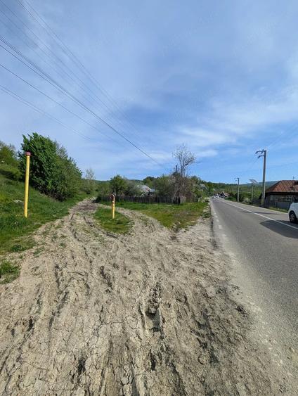 Teren de 14200 mp, în Podiș