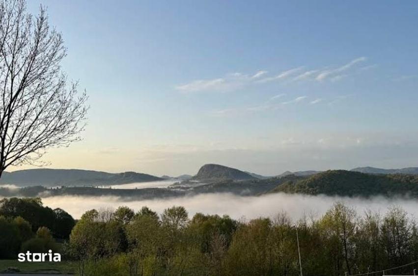 Teren de 20000 mp, în Ciuruleasa