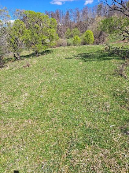 Teren de 3600 mp, în Central
