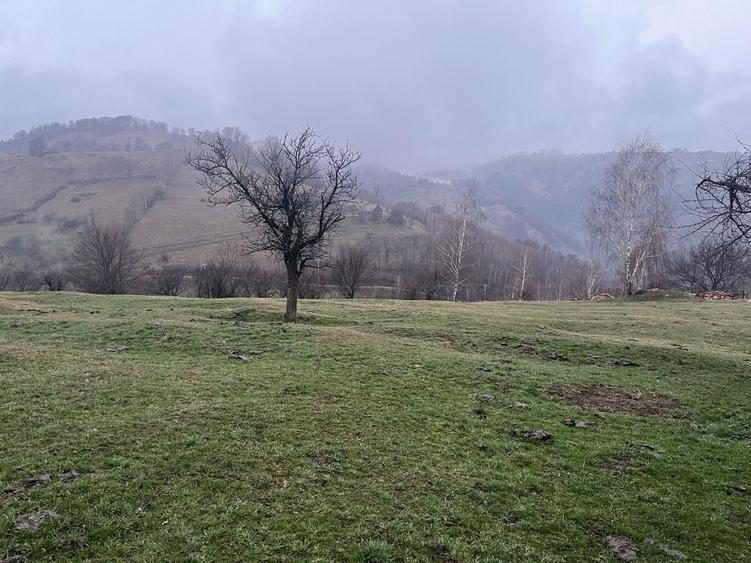 Spațiu comercial, în Șugag