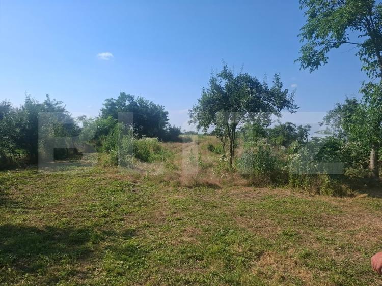 Casă individuală cu 2 camere cu Teren 5000 Mp în Mogoșani