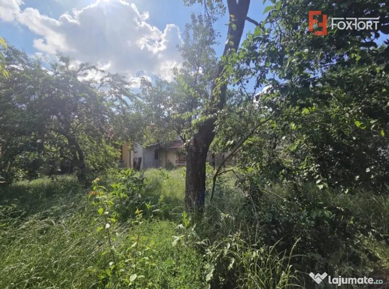 Casă cu 5 camere cu Teren 380 Mp în Funcționarilor