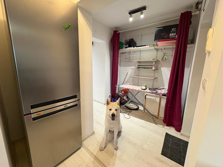 Apartament 3 camere decomandat, strada Observatorului, Zorilor - 16