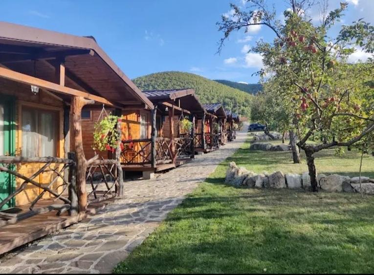 Casă cu 4 camere în Vălișoara