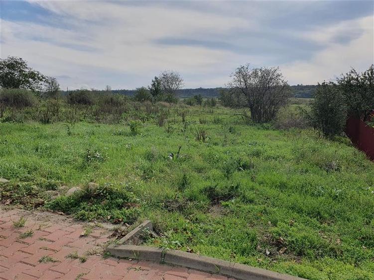 Teren Construcții intravilan de 1140 mp, în Satu Nou (Panciu)