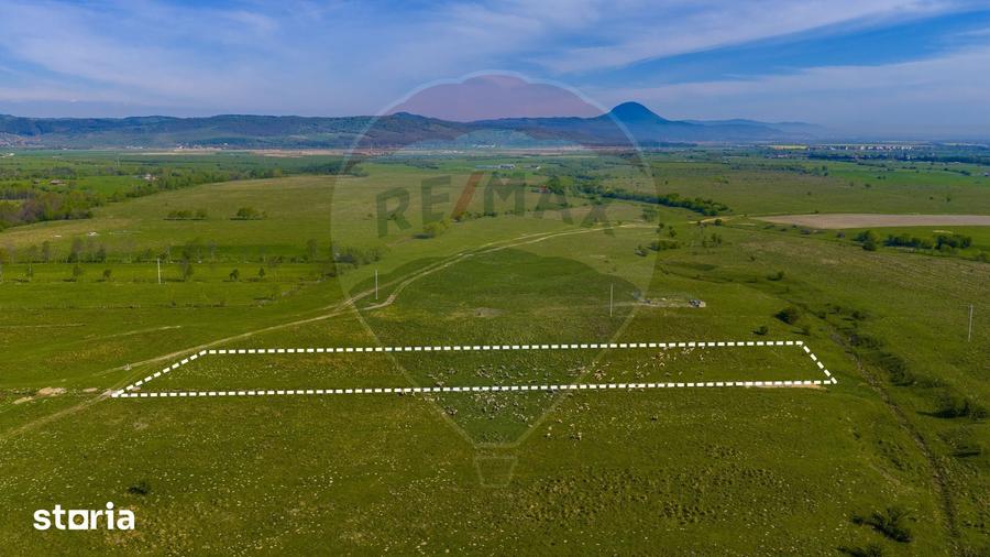 Teren 1ha, extravilan Rasnov / Agricultura sau ferma/ COMISION 0% - 4