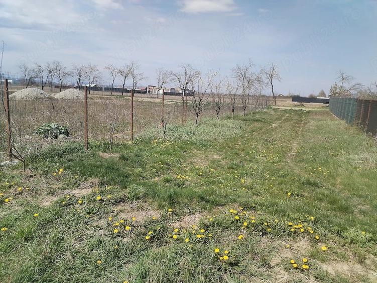 Teren de 5500 mp, în Ruși-Ciutea