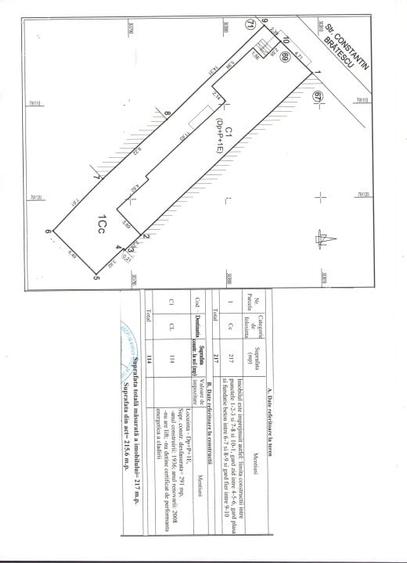 Casă individuală cu 10 camere cu Garaj în Central
