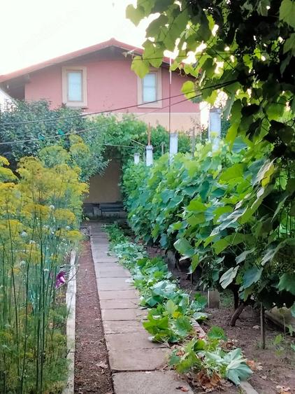 Teren de 770 mp, în Palazu Mare