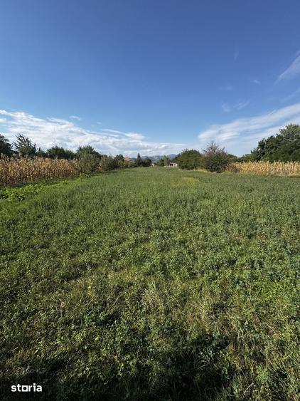 Teren de 3600 mp, în Pârgărești