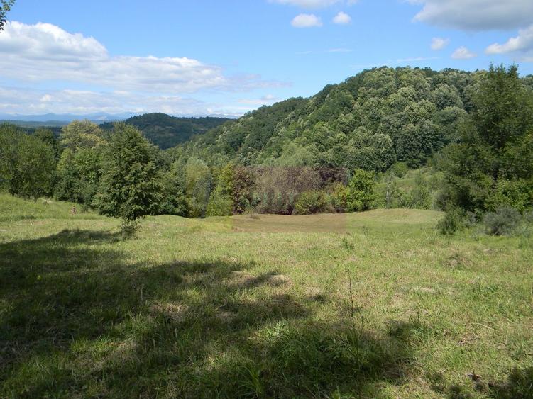 Teren agricol intravilan de 3092 mp, în Telega