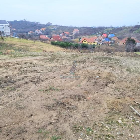 Teren Construcții intravilan de 3133 mp, în Cantemir