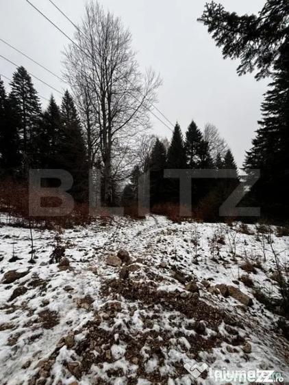 Teren de 4000 mp, în Calea Moroieni