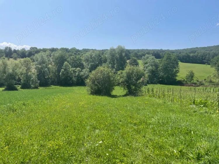 Teren de 2500 mp, în Central