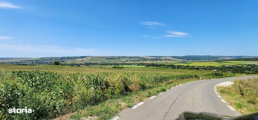 Teren de 21000 mp, în Scânteia