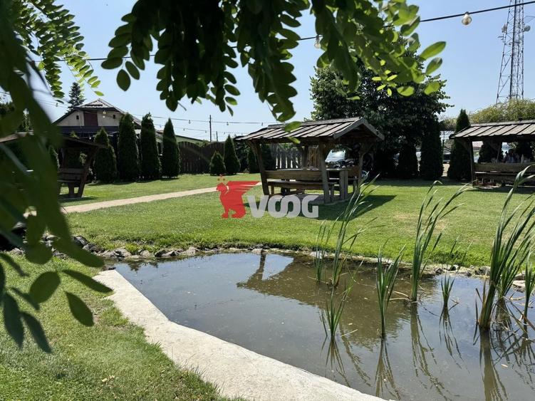 Spațiu comercial, de 19,400 mp, în Peciu Nou