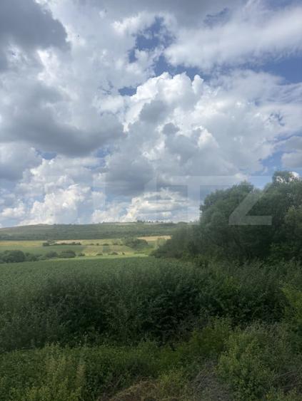 Teren de 7100 mp, în Zăuan
