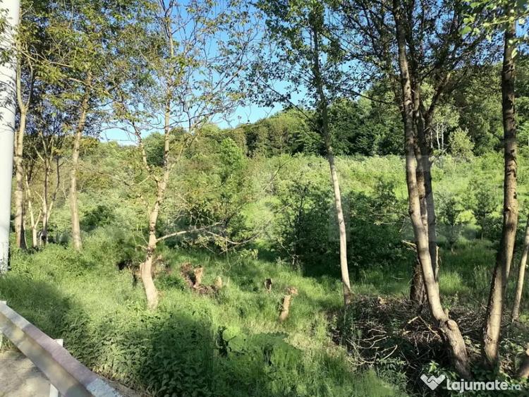 Teren de 14400 mp, în Gemenea-Brătulești