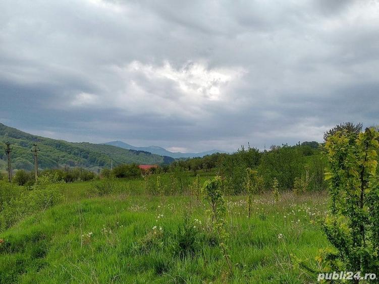 Casă cu 3 camere în Drajna