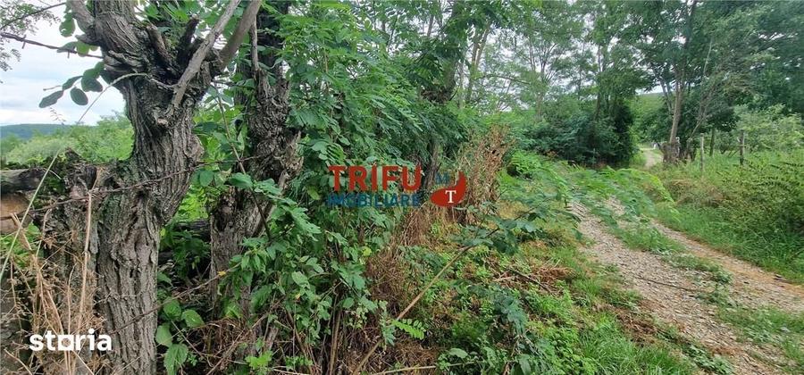 Teren de 1300 mp, în Straja