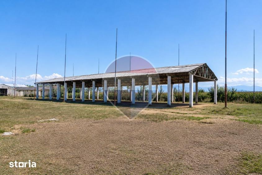 Teren de 17500 mp, în Hălchiu