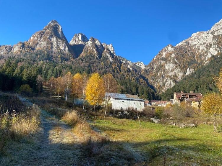 Casă individuală cu 6 camere cu Teren 446.73999023438 Mp în Bușteni