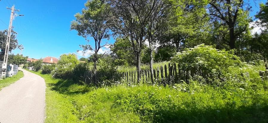 420mp sau 830mp in ?inutul Padurenilor , partea de sud-vest a jud. Hunedoara. - 6