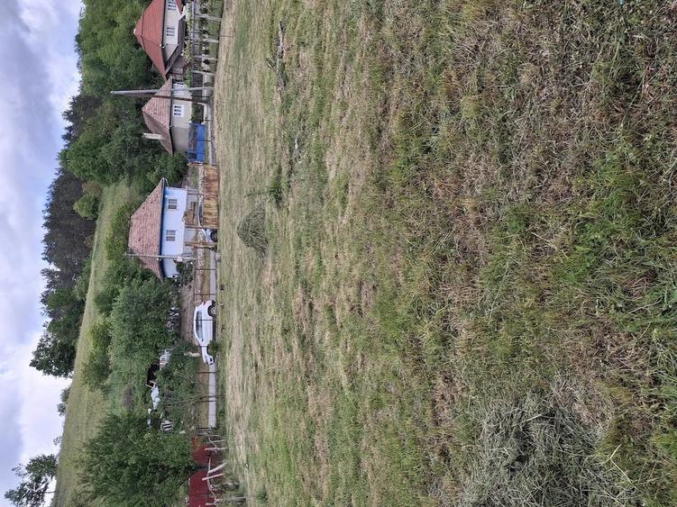 Casă cu Teren 1300 Mp în Sălciua