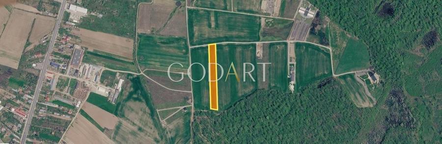 Teren agricol intravilan de 10000 mp, în Ciolpani