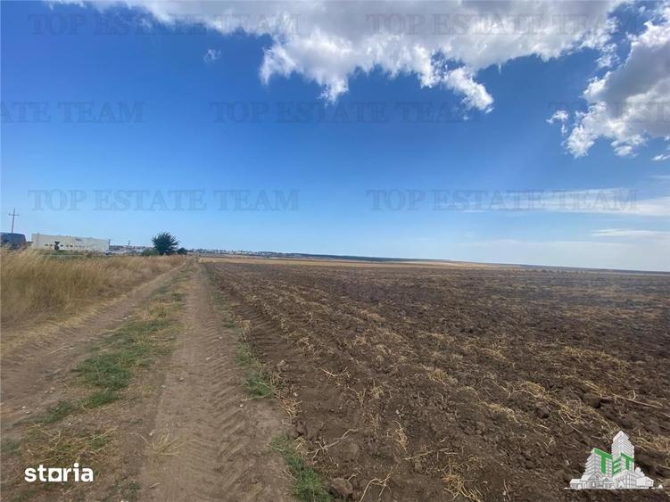 Teren de 24250 mp, în Mihail Kogălniceanu
