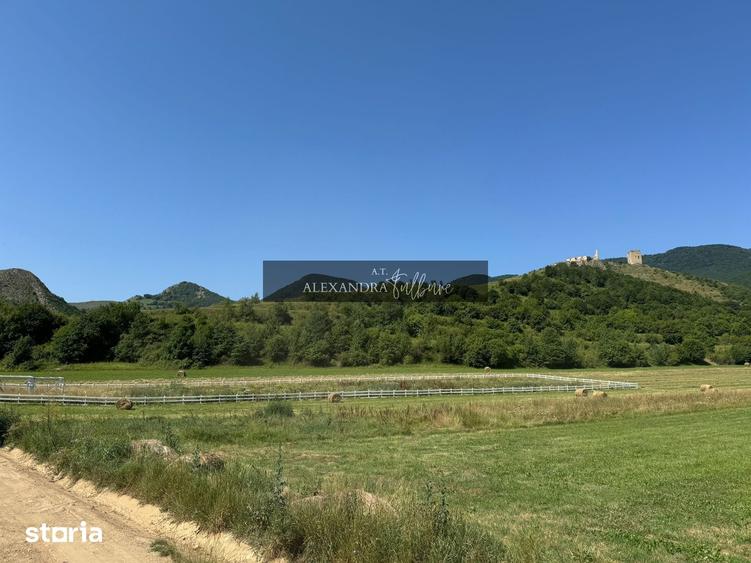 Teren de 9000 mp, în Fărău