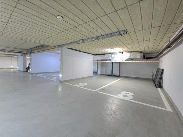 Apartament Primaverii - curte 100mp - 20
