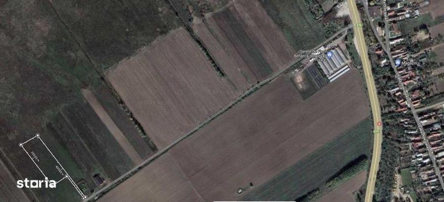 Teren de 6000 mp, în Coțofenii din Față