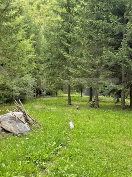 Casă individuală cu 3 camere cu Canalizare în Valea Drăganului