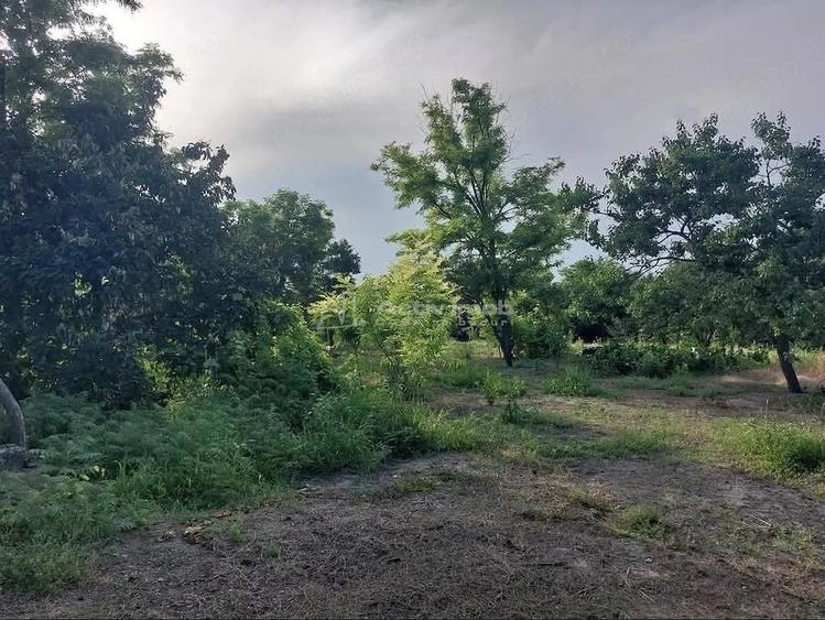 Casă cu 4 camere cu Teren 2621 Mp în Mihăilești