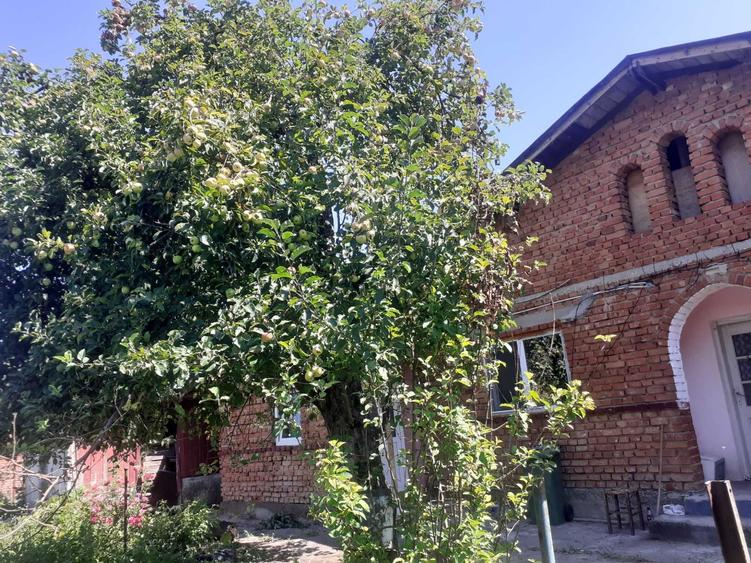 Casă cu 4 camere în Plavia
