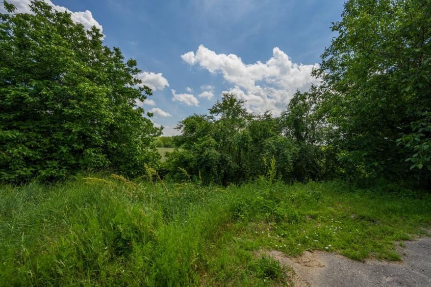 Teren Construcții intravilan de 5509 mp, în Periș