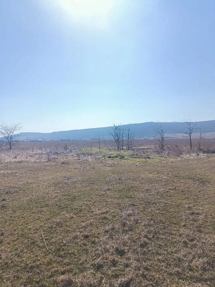 Teren de 10000 mp, în Golăiești